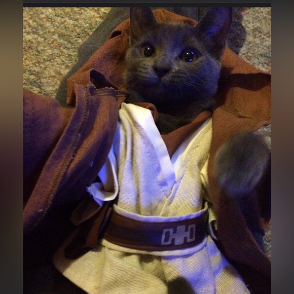 Meet your Posher, Beverly - Picture 12 of 16